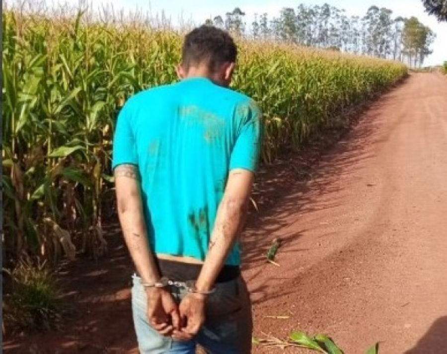 Polícia Militar desarticula grupo após roubo em fazenda e recupera caminhonete em Terra Nova
