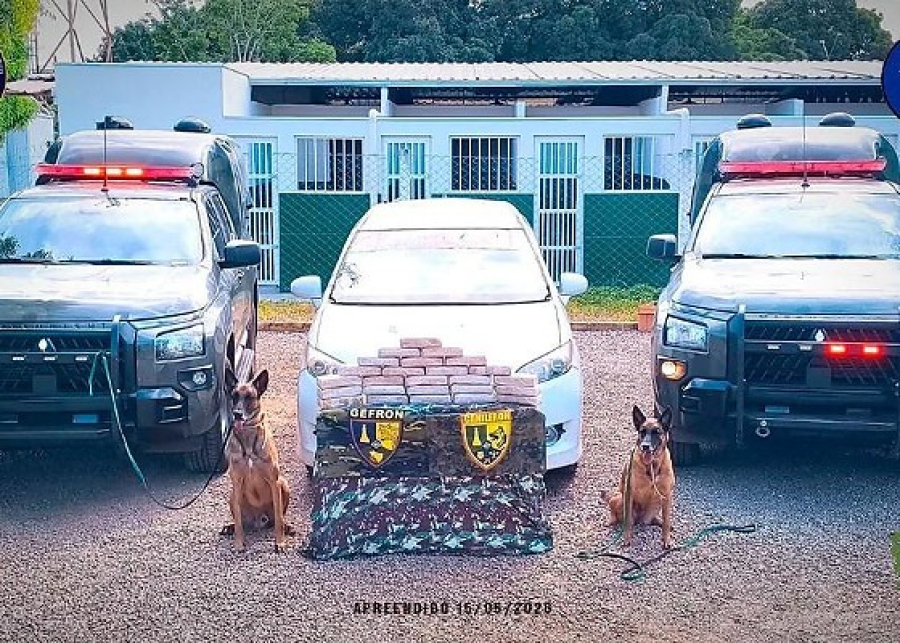 Cães farejadores do Gefron descobrem 26 quilos de cocaína em carro na fronteira entre MT e Bolívia