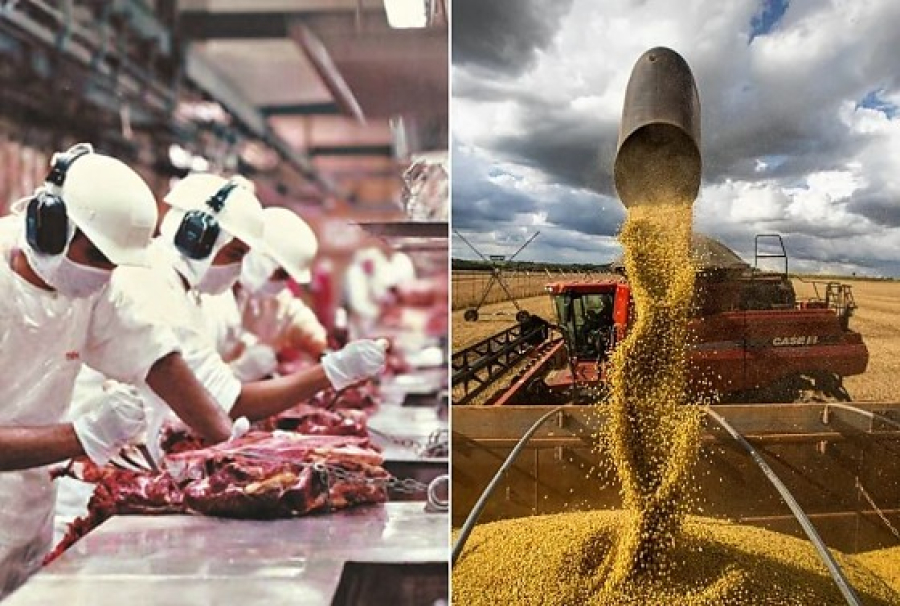 Carne e óleo de soja faz indústria de Mato Grosso disparar e alcançar o 2º lugar do país